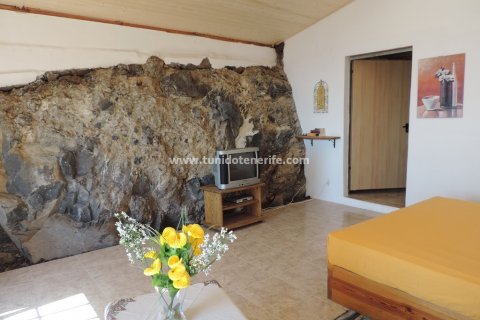 Finca myytävänä Guia de Isora, Tenerife, Espanja, 4 makuuhuonetta, 110 m2 No. 24357 - kuva 24