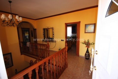 Huvila myytävänä Buzanada, Tenerife, Espanja, 3 makuuhuonetta, 300 m2 No. 24306 - kuva 11