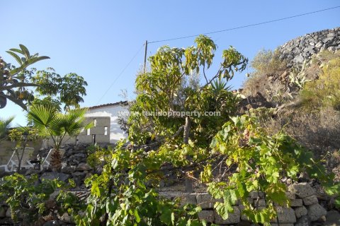 Finca myytävänä Guia de Isora, Tenerife, Espanja, 4 makuuhuonetta, 110 m2 No. 24357 - kuva 7