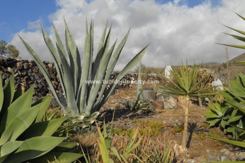 Finca myytävänä Guia de Isora, Tenerife, Espanja, 4 makuuhuonetta, 110 m2 No. 24357 - kuva 13