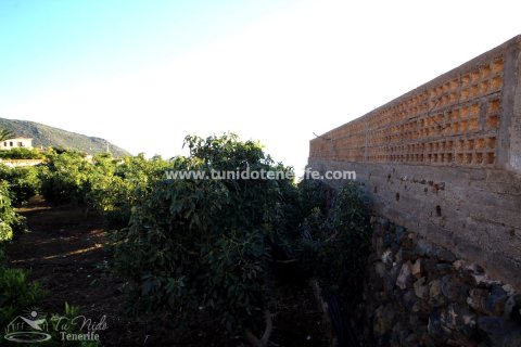 Finca myytävänä Puerto de Santiago, Tenerife, Espanja, 2 makuuhuonetta, 62 m2 No. 24638 - kuva 4