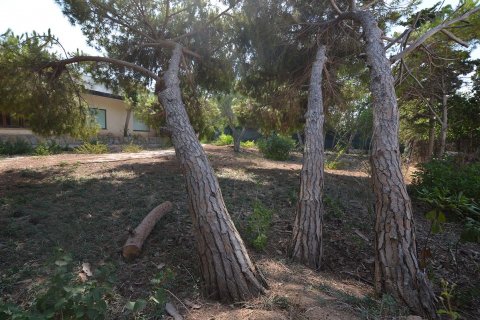 Tontti myytävänä Cabo Roig, Alicante, Espanja , 1533 m2 No. 19342 - kuva 8