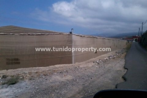 Tontti myytävänä Guia de Isora, Tenerife, Espanja , 135000 m2 No. 24325 - kuva 8