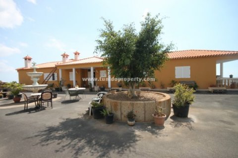 Huvila myytävänä Los Menores, Tenerife, Espanja, 6 makuuhuonetta, 600 m2 No. 24283 - kuva 3