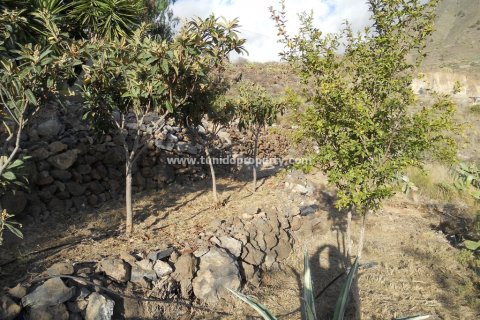 Finca myytävänä Guia de Isora, Tenerife, Espanja, 4 makuuhuonetta, 110 m2 No. 24357 - kuva 8