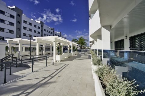 Kattohuoneisto myytävänä Mijas Costa, Malaga, Espanja, 3 makuuhuonetta, 123 m2 No. 20915 - kuva 17