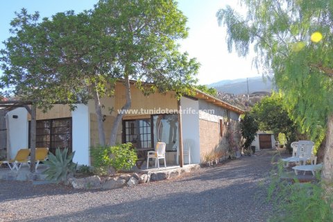 Finca myytävänä Guia de Isora, Tenerife, Espanja, 4 makuuhuonetta, 110 m2 No. 24357 - kuva 20