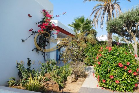 Huvila vuokrattavana Santa Gertrudis De Fruitera, Ibiza, Espanja, 5 makuuhuonetta, 400 m2 No. 30888 - kuva 5