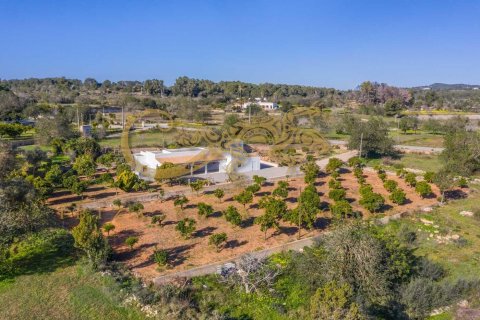 Huvila vuokrattavana Sant Joan de Labritja, Ibiza, Espanja, 4 makuuhuonetta, 240 m2 No. 30846 - kuva 2