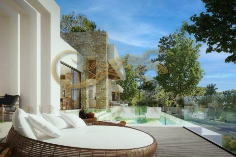 Huvila myytävänä Santa Eulalia Del Rio, Ibiza, Espanja, 4 makuuhuonetta, 510 m2 No. 30792 - kuva 3