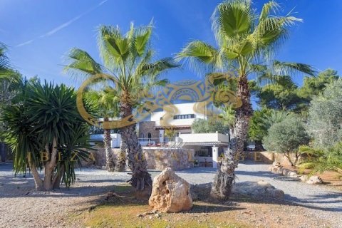 Huvila myytävänä Santa Eulalia Del Rio, Ibiza, Espanja, 11 makuuhuonetta, 710 m2 No. 30811 - kuva 15