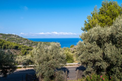 Finca myytävänä Deia, Mallorca, Espanja, 4 makuuhuonetta, 214 m2 No. 32219 - kuva 9
