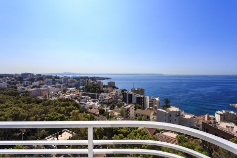 Kattohuoneisto myytävänä Palma de Majorca, Mallorca, Espanja, 4 makuuhuonetta, 250 m2 No. 33475 - kuva 4