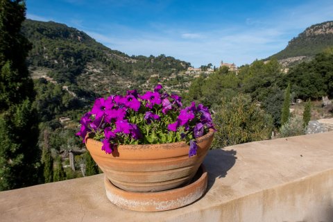 Finca myytävänä Valldemosa, Mallorca, Espanja, 3 makuuhuonetta, 476 m2 No. 33223 - kuva 27