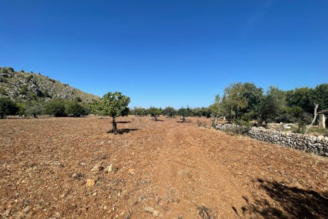 Finca myytävänä Pollenca, Mallorca, Espanja, 3 makuuhuonetta, 199 m2 No. 33640 - kuva 4