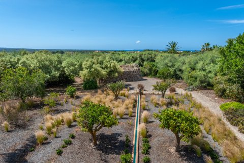 Finca myytävänä Ses Salines, Mallorca, Espanja, 4 makuuhuonetta, 489 m2 No. 32482 - kuva 23