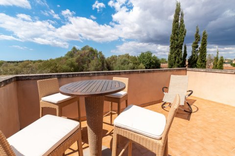 Finca myytävänä Santanyi, Mallorca, Espanja, 6 makuuhuonetta, 596 m2 No. 32743 - kuva 19