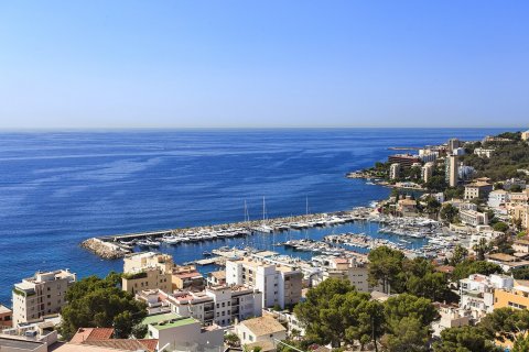 Kattohuoneisto myytävänä Palma de Majorca, Mallorca, Espanja, 4 makuuhuonetta, 250 m2 No. 33475 - kuva 14