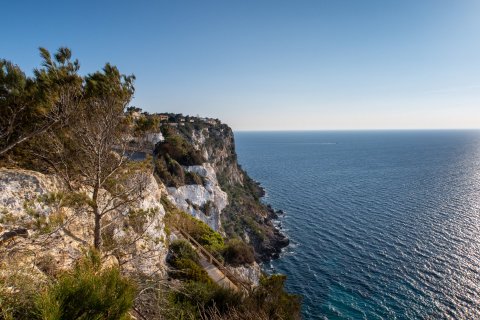 Huvila myytävänä Sa Torre, Mallorca, Espanja, 4 makuuhuonetta, 546 m2 No. 32640 - kuva 8