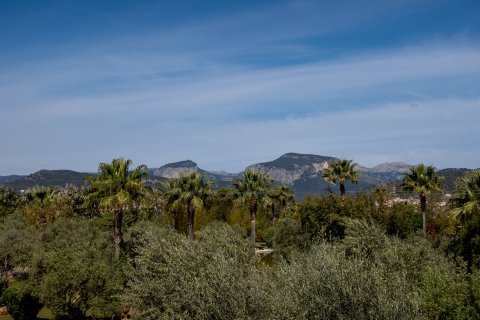 Finca myytävänä Inca, Mallorca, Espanja, 5 makuuhuonetta, 2416 m2 No. 32761 - kuva 15