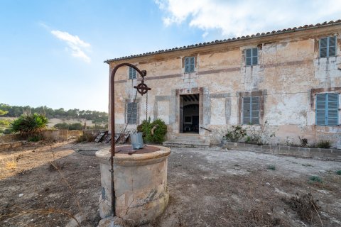 Finca myytävänä Montuiri, Mallorca, Espanja, 8 makuuhuonetta, 1630 m2 No. 32614 - kuva 12