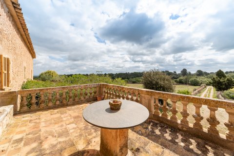 Finca myytävänä Lloret De Vistalegre, Mallorca, Espanja, 10 makuuhuonetta, 920 m2 No. 32872 - kuva 27