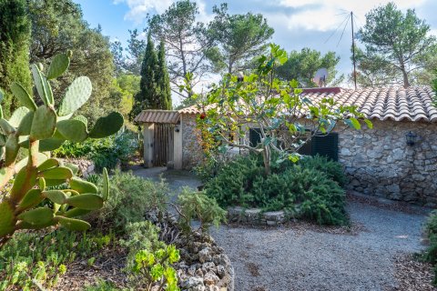 Finca myytävänä Esporles, Mallorca, Espanja, 5 makuuhuonetta, 250 m2 No. 32271 - kuva 17