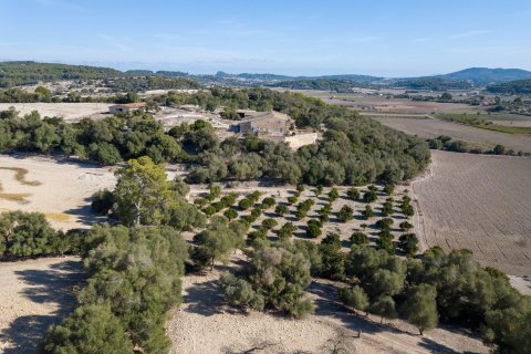 Finca myytävänä Montuiri, Mallorca, Espanja, 8 makuuhuonetta, 1630 m2 No. 32614 - kuva 4