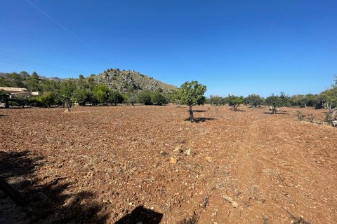 Finca myytävänä Pollenca, Mallorca, Espanja, 3 makuuhuonetta, 199 m2 No. 33640 - kuva 3