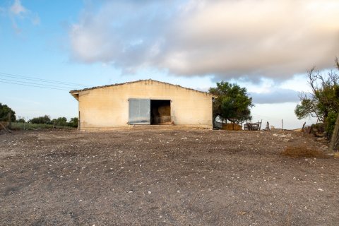 Finca myytävänä Montuiri, Mallorca, Espanja, 8 makuuhuonetta, 1630 m2 No. 32614 - kuva 15