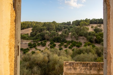 Finca myytävänä Montuiri, Mallorca, Espanja, 8 makuuhuonetta, 1630 m2 No. 32614 - kuva 8