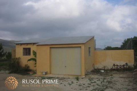 Tontti myytävänä Benissa, Alicante, Espanja , 18000 m2 No. 39395 - kuva 10