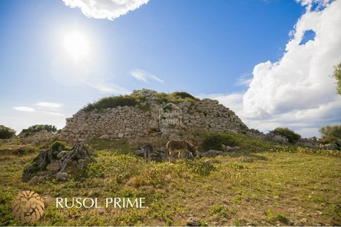 Finca myytävänä Alaior, Menorca, Espanja, 10 makuuhuonetta, 548 m2 No. 38962 - kuva 2