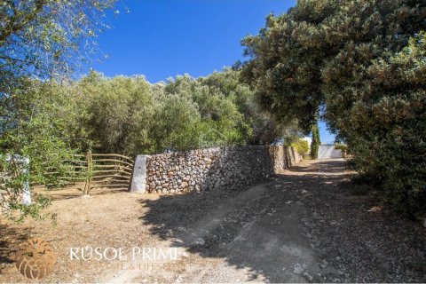 Huvila myytävänä El Migjorn Gran, Menorca, Espanja, 7 makuuhuonetta, 604 m2 No. 39168 - kuva 13