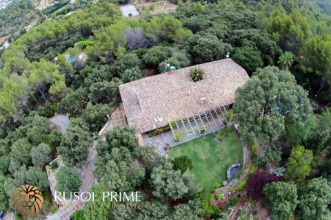 Finca myytävänä Esporles, Mallorca, Espanja, 5 makuuhuonetta, 550 m2 No. 38310 - kuva 19