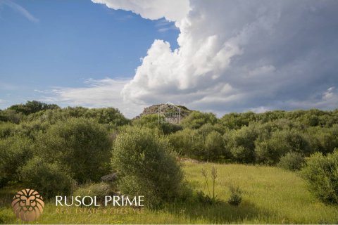 Finca myytävänä Alaior, Menorca, Espanja, 10 makuuhuonetta, 548 m2 No. 38962 - kuva 7