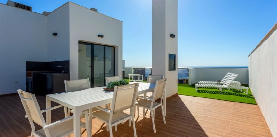 Kattohuoneisto Alicante, Espanja 3 makuuhuonetta, 210 m2 No. 42085