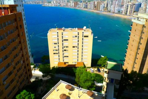 Huoneisto myytävänä Benidorm, Alicante, Espanja, 1 makuuhuone, 54 m2 No. 42456 - kuva 3