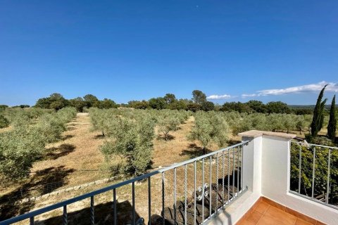 Finca myytävänä Llubi, Mallorca, Espanja, 4 makuuhuonetta, 245 m2 No. 46777 - kuva 25