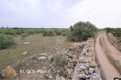 Tontti myytävänä Ciutadella De Menorca, Menorca, Espanja , 62 m2 No. 47075 - kuva 6