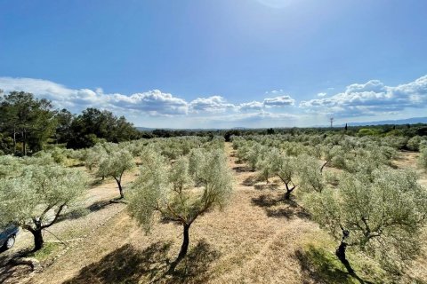 Finca myytävänä Llubi, Mallorca, Espanja, 4 makuuhuonetta, 245 m2 No. 46777 - kuva 29