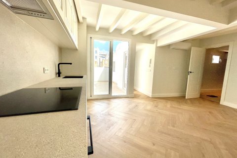 Kattohuoneisto myytävänä Palma de Majorca, Mallorca, Espanja, 2 makuuhuonetta, 60 m2 No. 41284 - kuva 2