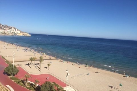 Huoneisto myytävänä Benidorm, Alicante, Espanja, 1 makuuhuone, 60 m2 No. 45950 - kuva 6