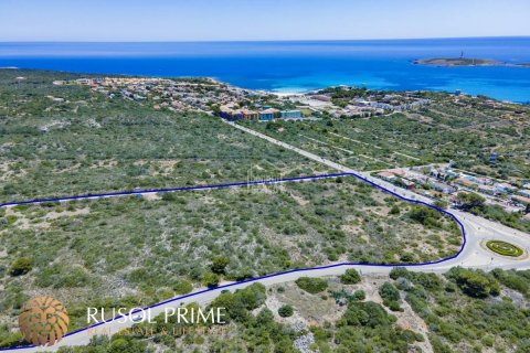 Tontti myytävänä Sant Lluis, Menorca, Espanja , 207000 m2 No. 47021 - kuva 3