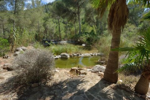 Huvila myytävänä Ibiza, Espanja, 5 makuuhuonetta, 340 m2 No. 45307 - kuva 8