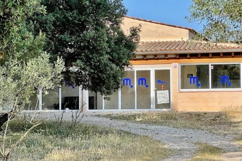 Finca myytävänä Llubi, Mallorca, Espanja, 4 makuuhuonetta, 245 m2 No. 46777 - kuva 22