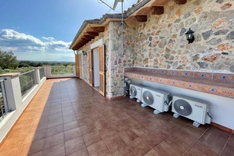 Finca myytävänä Llubi, Mallorca, Espanja, 4 makuuhuonetta, 245 m2 No. 46777 - kuva 19