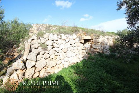 Tontti myytävänä Ciutadella De Menorca, Menorca, Espanja , 62 m2 No. 47075 - kuva 3