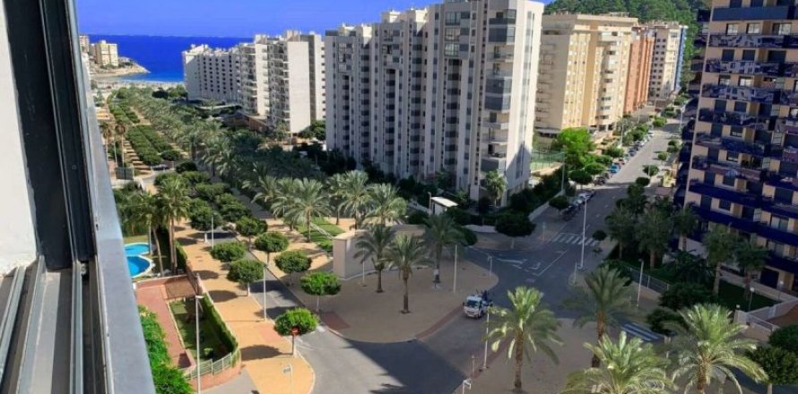 Huoneisto Benidorm, Alicante, Espanja 2 makuuhuonetta, 90 m2 No. 42878