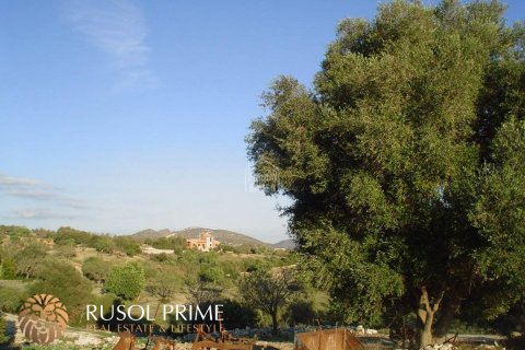 Tontti myytävänä Sant Llorenc Des Cardassar, Mallorca, Espanja , 480 m2 No. 47145 - kuva 1